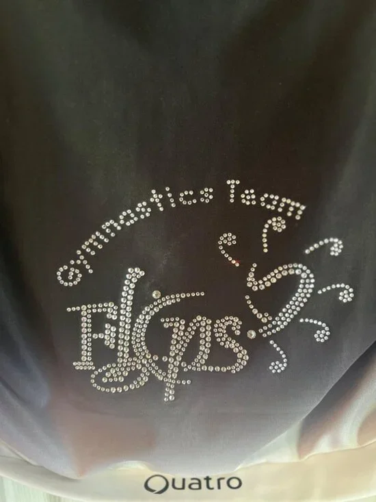 Flips Gymnastics Team Rhinestone Embellished Ombre Cropped Hoodie Warm Up Jacket - Picture 1 of 12